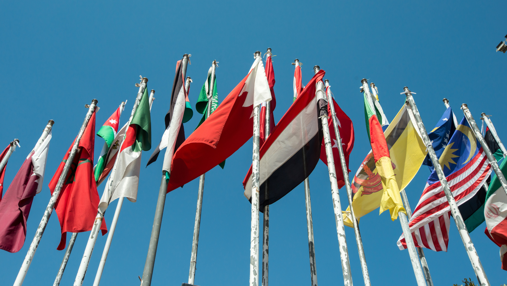 dingfang-value-canva